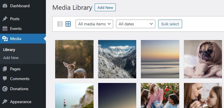 Organizing Your Media Library